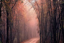 英超球员身价更新：努涅斯霍伊伦暴跌 伊萨克世界第三.